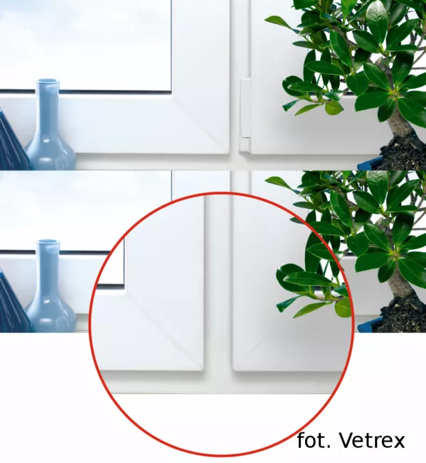 Multipromocja okien Vetrex